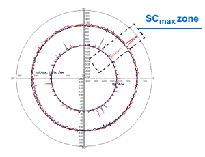 Results of disk rim inspection